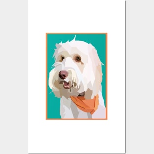 Australian Labradoodle Cute Posters and Art